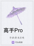 高手Pro