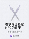 在快穿世界做NPC的日子
