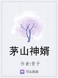 茅山神婿