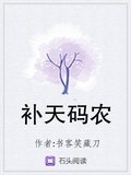 補天碼農