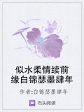 似水柔情續前緣白錦瑟墨肆年