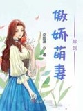 重生之萌娘軍嫂