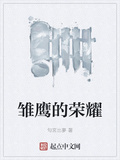 雛鷹的榮耀全文免費閱讀