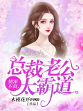 一夜鎖情，總裁先生請溫柔（情深不負，總裁老公太霸道）