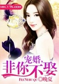 寵婚，非你不娶