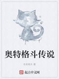 奧特格鬥傳說
