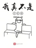 我真不是CEO