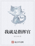 我就是指揮官