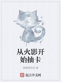 從火影開始抽卡