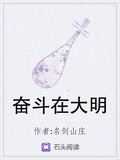 奮鬥在大明