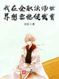 我在全職法師世界穩健不起來