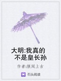 大明:我真的不是皇長孫