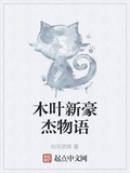 木葉新豪傑物語