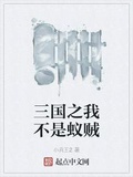 三國之我不是蟻賊
