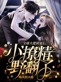 全球大佬團寵后，小撩精野翻了