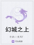 幻城之上下載