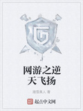 網游之逆天飛揚