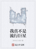我真不是流行巨星
