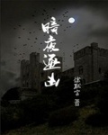 暗夜逐凶