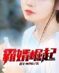 上門女婿葉辰（又名霸婿崛起，最強棄子）