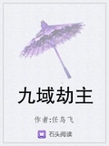 九域劫主