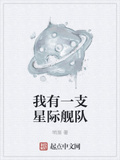 我有一支星際艦隊