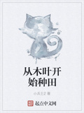 從木葉開始種田