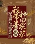 穿成極品惡婆婆后，我帶著系統種田發家