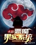 火影：惡魔果實系統