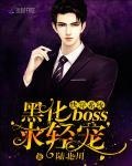 快穿系統：黑化BOSS，求輕寵