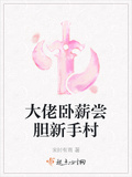 大佬卧薪嘗膽新手村
