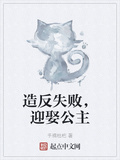 造反失敗，迎娶公主