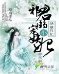 妖孽狂妃：邪君寵溺小妖妃