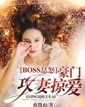 boss息怒：豪門攻妻掠愛