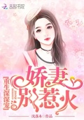 重生深深寵：嬌妻，別惹火