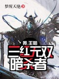 我，王哈，三紅無雙暗殺者