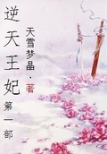 逆天王妃第一部