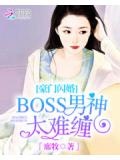 豪門閃婚:boss男神太難纏