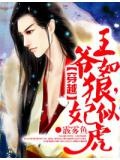 穿越:王爺如狼,妃似虎