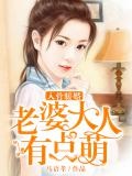 入骨暖婚：老婆大人有點萌