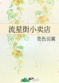 流星街小賣店