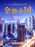 我的金融帝國