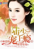 暖婚之許你無法無天