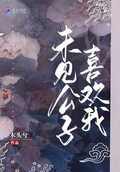 未見公子喜歡我