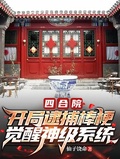 四合院：開局逮捕棒梗，覺醒神級系統