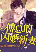 傅總的閃婚新妻