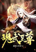 魂武至尊