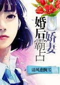 婚後新妻套路深