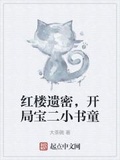 紅樓遺密，開局寶二小書童