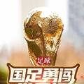 足球：國足勇闖世界盃